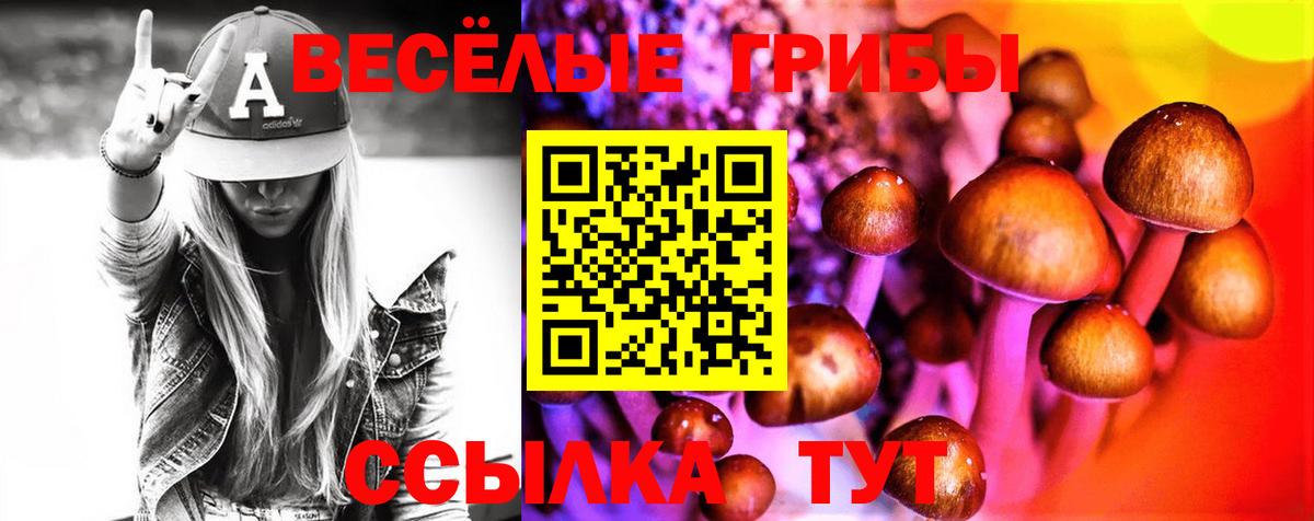 Псилоцибиновые грибы Magic Shrooms Санкт-Петербург