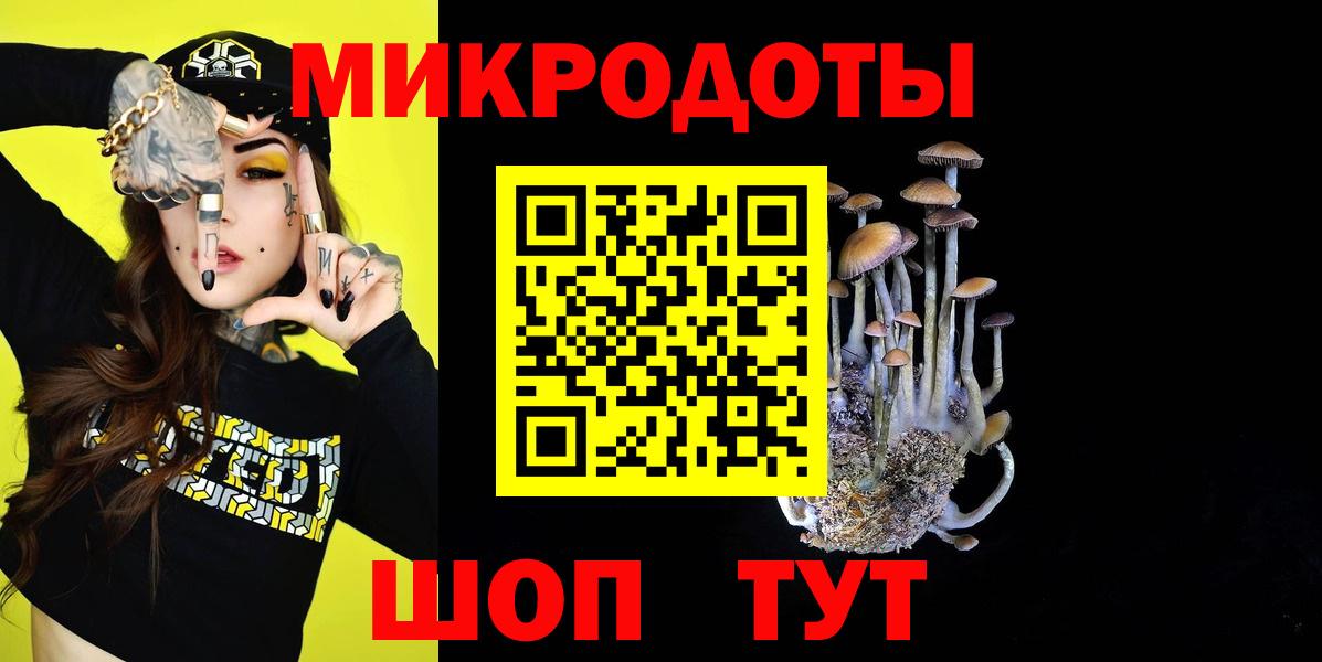 Галлюциногенные грибы Cubensis  Вход с VPN  Санкт-Петербург  Псилоцибиновые грибы MAGIC MUSHROOMS 